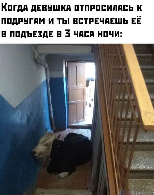 мем