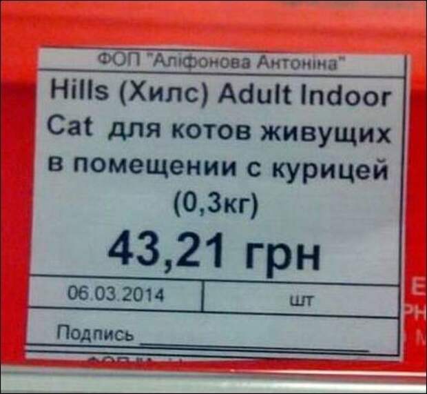 Величайшие провалы, которые только могли произойти Total fail, fail, идиотизм, неудача, неудачники, опростоволосились, прикол