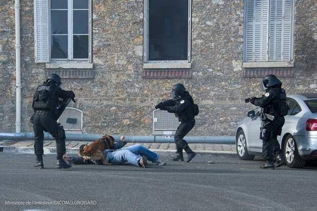 Французский спецназ ошибся дверью и взял штурмом не ту квартиру-4 фото + 4 видео-