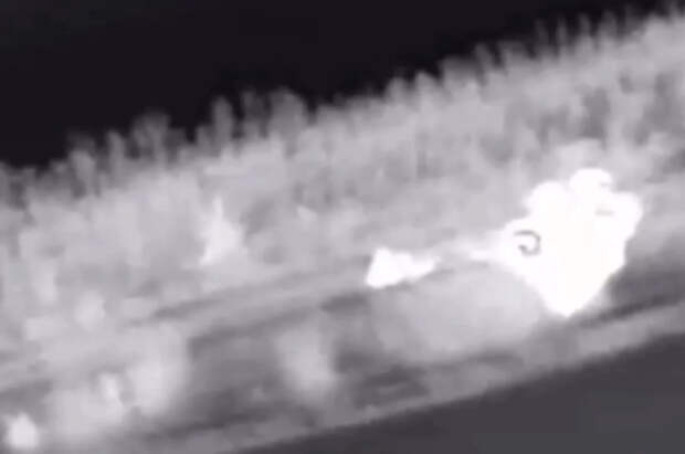 Уничтожение РСЗО Vampire ВСУ в Сумской области сняли с воздуха