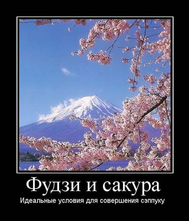 Демотиваторы (30 фото)