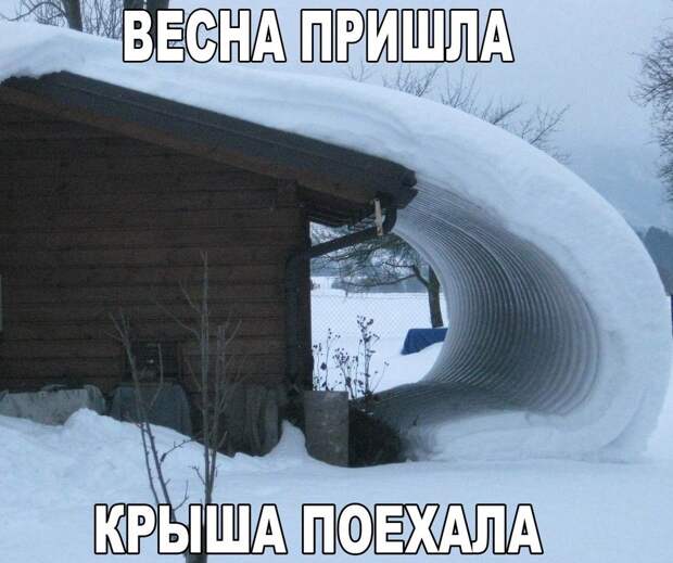 Забавные картинки с надписями до слез (11 фото) Забавные картинки с надписями до слез (11 фото)