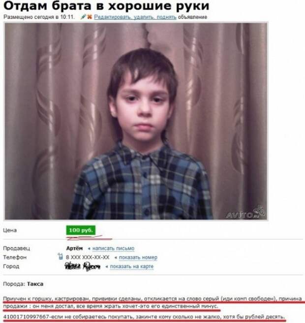 Странные объявления (25 фото)