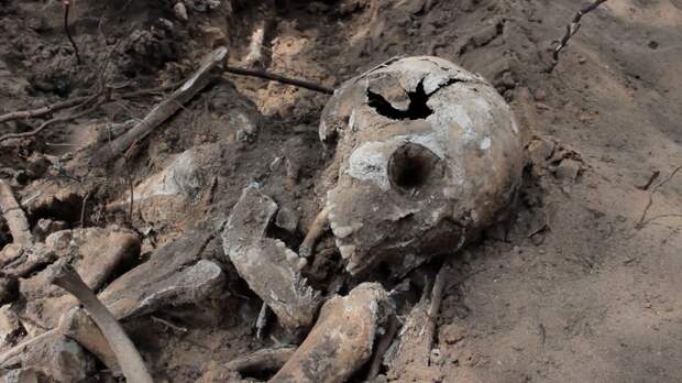 Массовое захоронение времен Великой Отечественной войны нашли под Воронежем