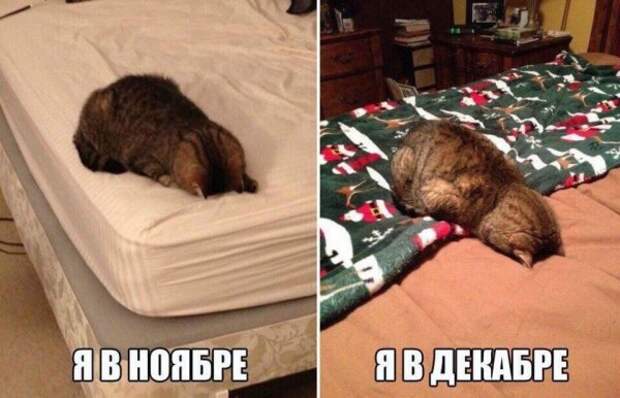 Намусорю вам тут