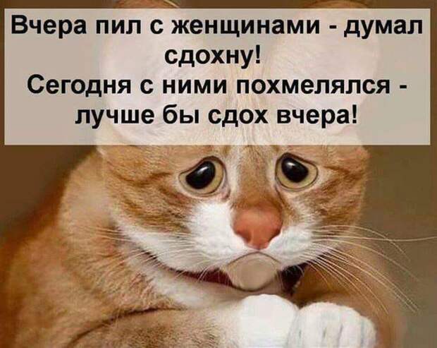 Я никогда не встречал русских, которые грустят...
