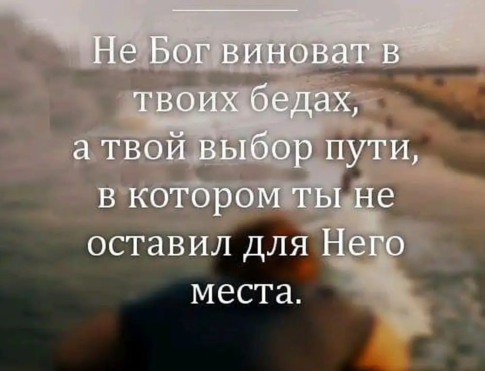 Это был твой выбор. Мы сами виноваты в своих бедах. Человек сам виноват в своих бедах. Человек сам виноват в своих бедах цитаты. Мы сами виноваты в своих бедах статусы.