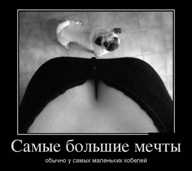 БУДЬ ОПТИМИСТОМ (30 ФОТО)