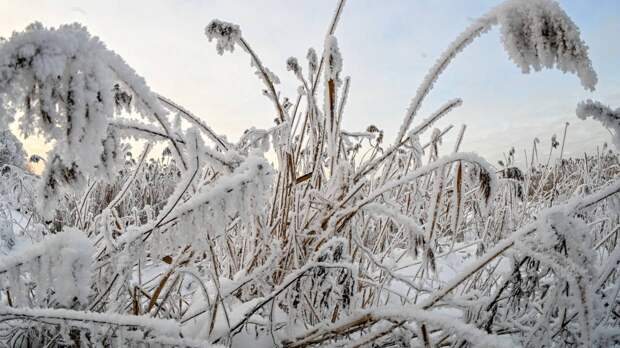 Гидрометцентр предупредил о резком похолодании в четырех регионах России