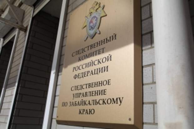 В Забайкалье начальник отдела администрации Читы предстанет перед судом по обвинению в халатности, повлекшей нападения бродячих собак на людей в краевой столице