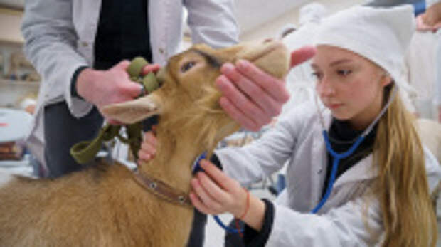 В Ивановской области в рамках федерального проекта «Профессионалитет» создадут сельскохозяйственный кластер
