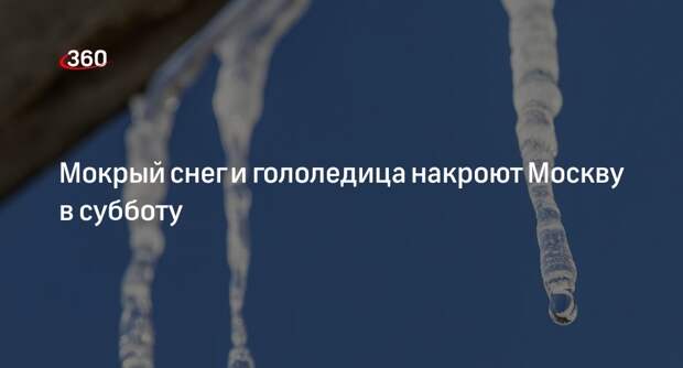 Синоптик Леус: в Москве 24 февраля будет +3 градуса и пройдет мокрый снег