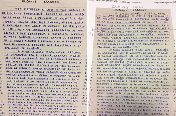 В Бразилии исчез любитель уфологии и теорий заговоров (5 фото + видео)