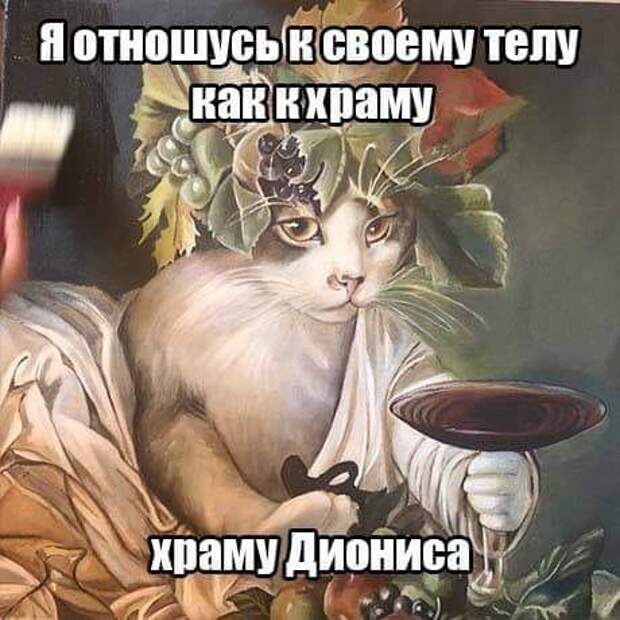 На изображении может находиться: мем, текст «я отношусь к своему телу как к храму храму диониса»