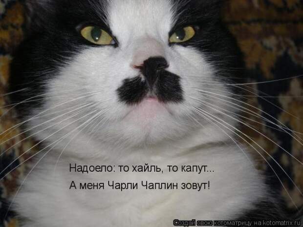 Мысли вслух :)