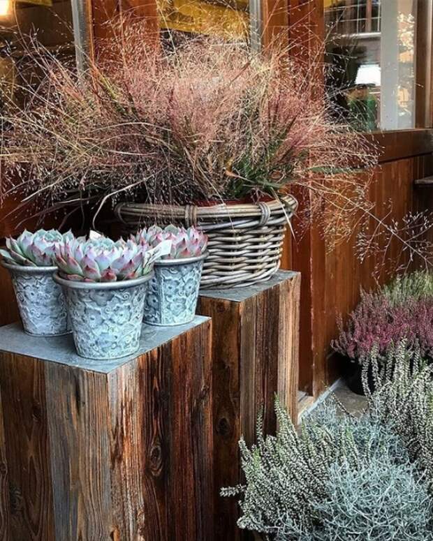 8 способов украсить сад осенью, когда все завяло и опало 8 способов украсить сад осенью, когда все завяло и опало