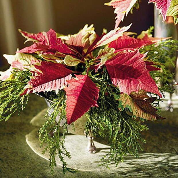 home-flowers-in-new-year-decorating1-8 (500x500, 112Kb)
