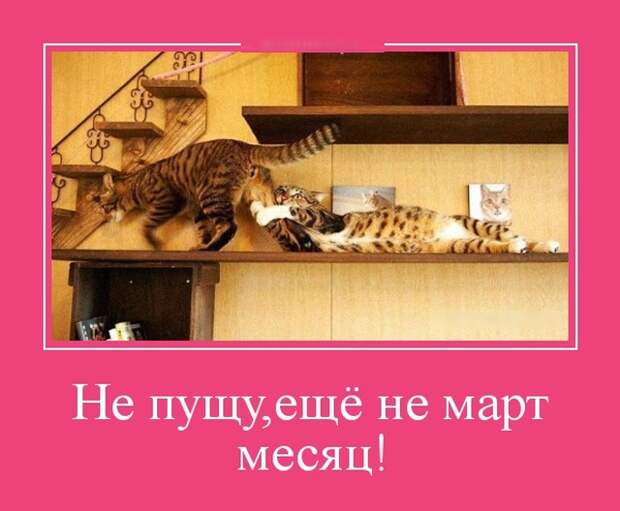www.vsyako.net