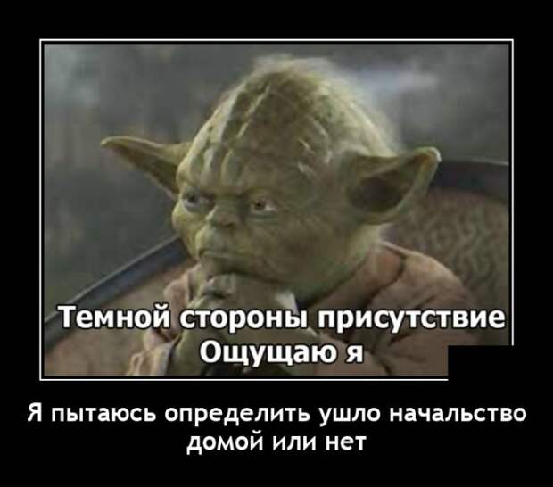 Демотиваторы 19 мая 2021