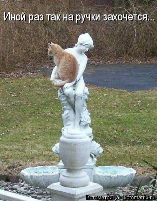 Котоматрицы