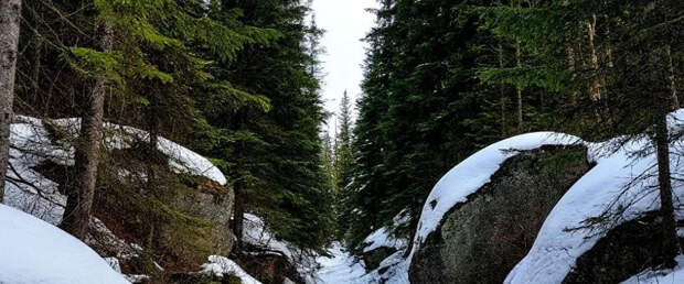 Место пропажи Усольцевых: как оно выглядит сейчас и что там происходит