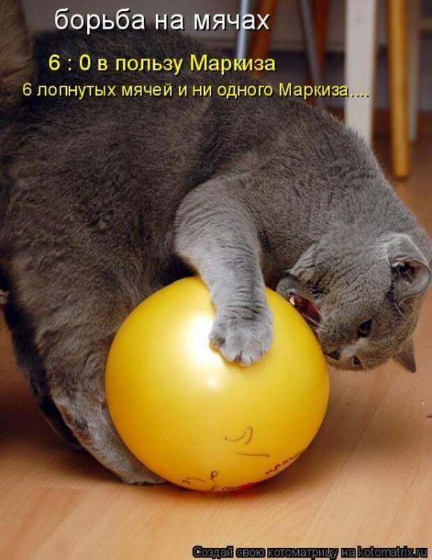 Мысли вслух :)