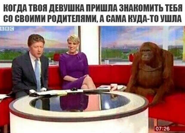 Юмор и приколы из социальных сетей