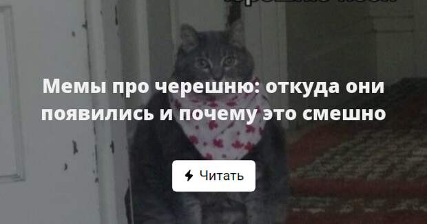 Черешня мем. Шутки про черешню. Мемы про черешню.
