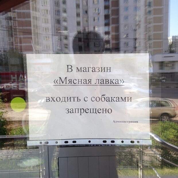 Недоверием сквозит сея подборка. Или так только кажется? Недоверием сквозит сея подборка. Или так только кажется?