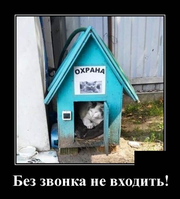 Демотиваторы (30 фото)