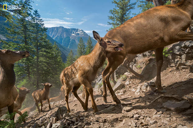 best-photos-2016-natgeo-national-geographic-66