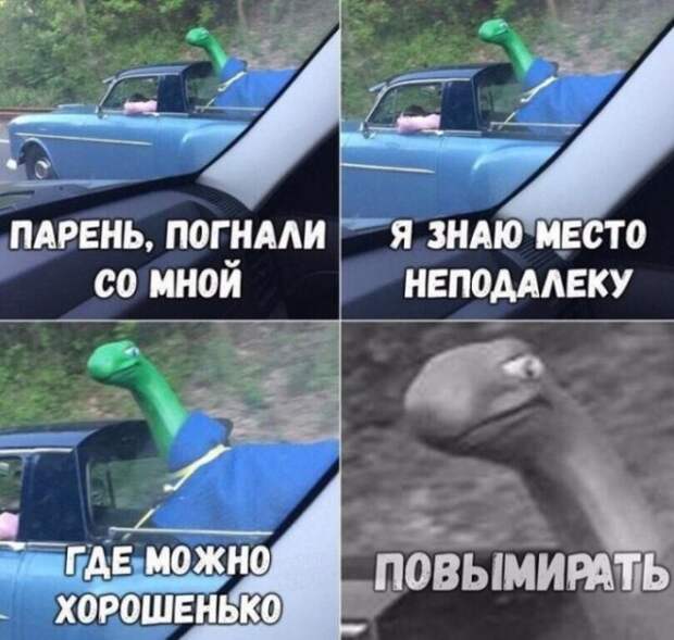 Юмор и приколы из социальных сетей