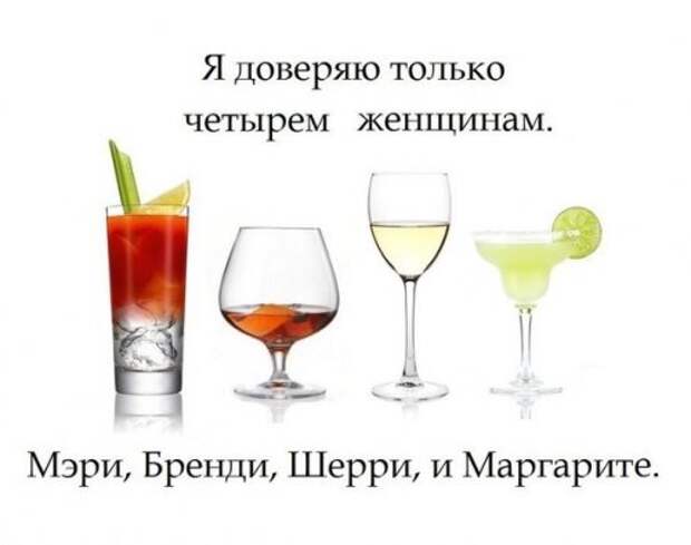 Приколы про алкоголь (34 шт)