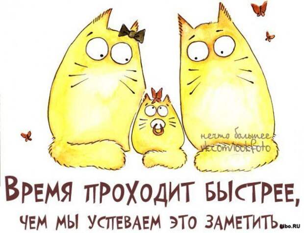 Мудрые мысли в прикольных картинках Мудрые мысли в прикольных картинках