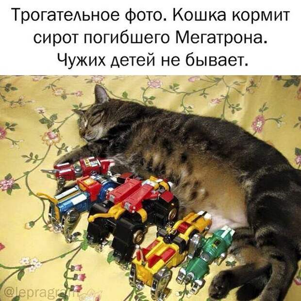 Ржачные свежие картинки с надписями (среда)