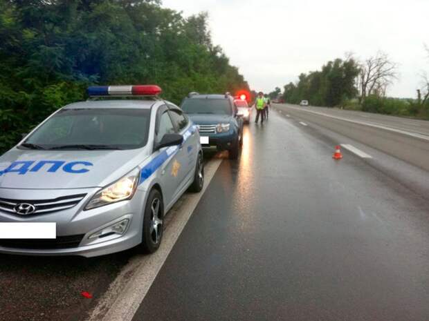 ДТП в Ростовской области: автобус с туристами из Крыма перевернулся, водитель погиб (фото)