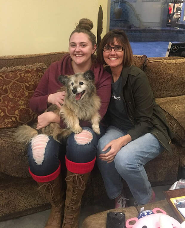 woman-saves-senior-dog-jaripo-3