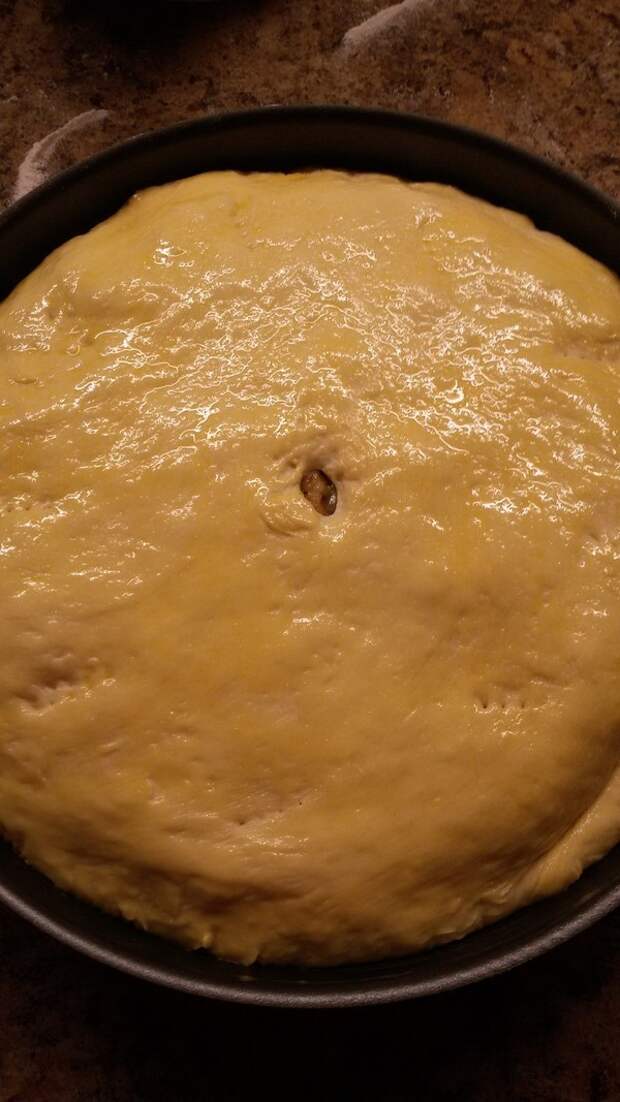 Пирог из дрожжевого теста с лососем и шпинатом Кулинария, Моё, Длиннопост, Фотография, Пирог, Выпечка, Рецепт