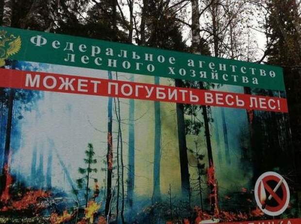 Прикольные картинки и веселые фото приколы (12 фото) Прикольные картинки и веселые фото приколы (12 фото)