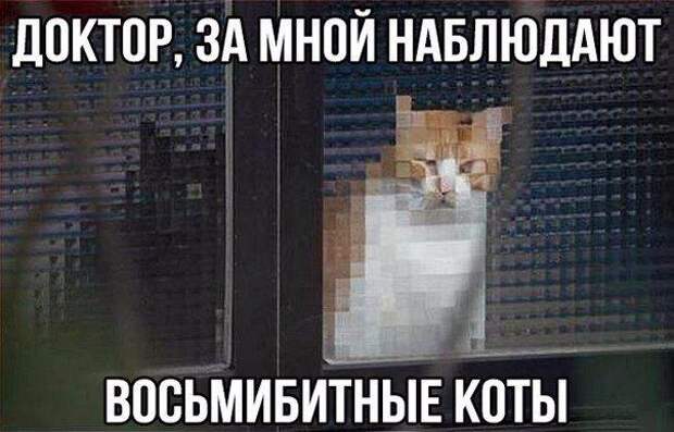 Смешные комментарии из социальных сетей (48 скриншотов) Смешные комментарии из социальных сетей (48 скриншотов)