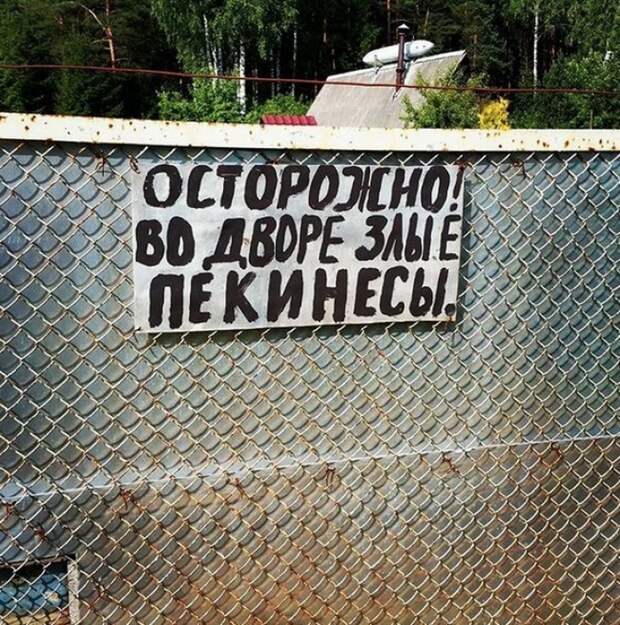 Таблички от хозяев с прекрасным чувством юмора животные, таблички, чувство юмора