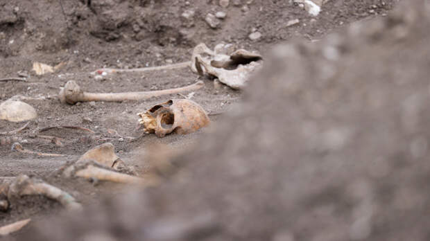 В Перми нашли останки расстрелянных фрейлин семьи Романовых