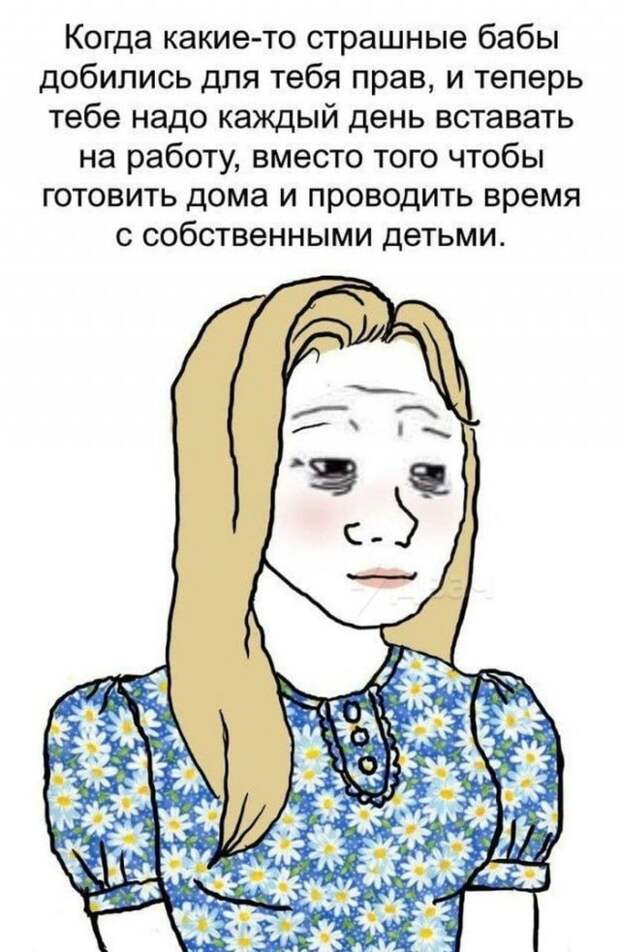 Приколы и мемы про феминисток