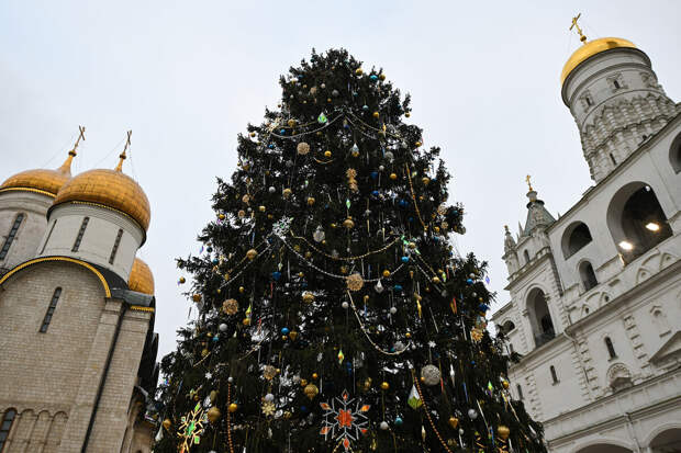 Столяр Фараджуллаев: из главной новогодней елки России нельзя изготовить шахматы