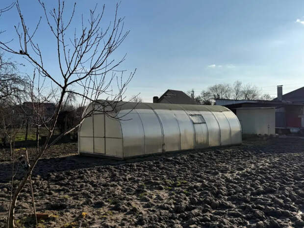 Аптечка вместо садового магазина: 1 флакон на бочку воды — и растения оживают на глазах