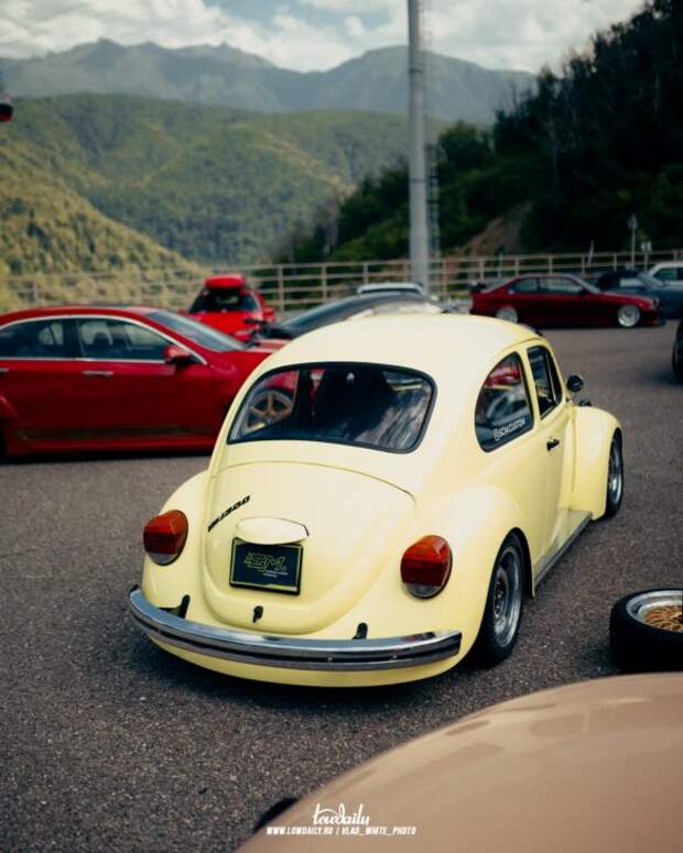 Lowdaily
