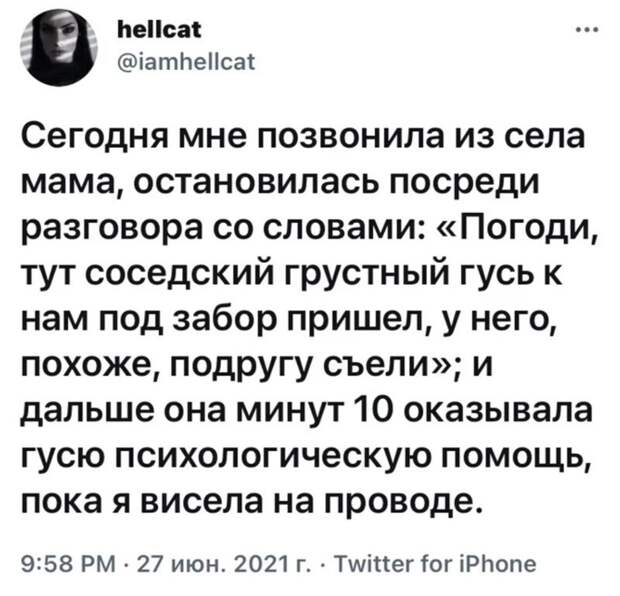 18. В этом все наши любимые мамы 18. В этом все наши любимые мамы