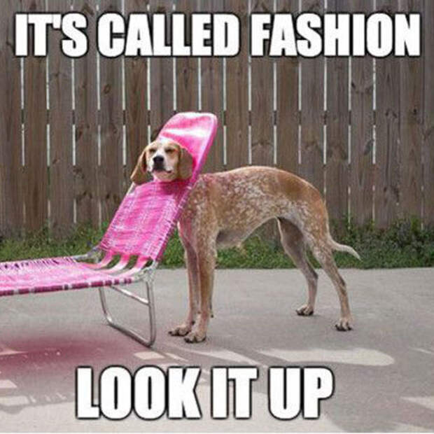 Or perhaps you're experimenting with a necklace/collar that some might confuse for a pool chair.