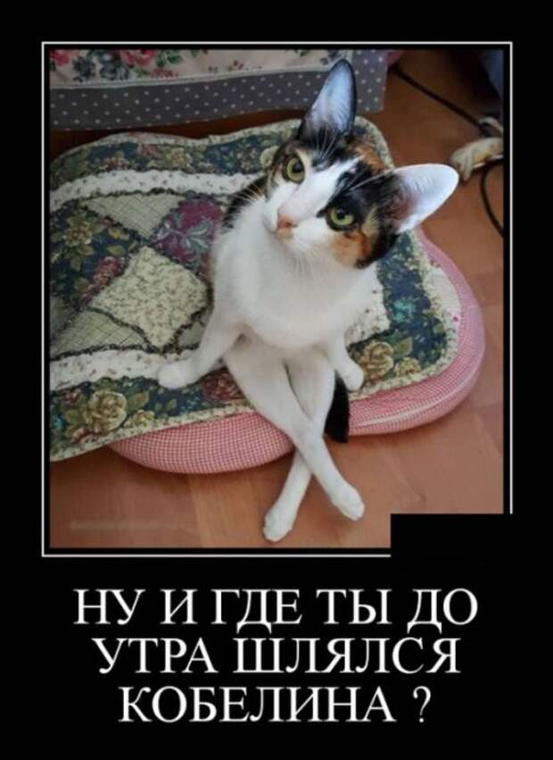 Демотиваторы (30 фото)