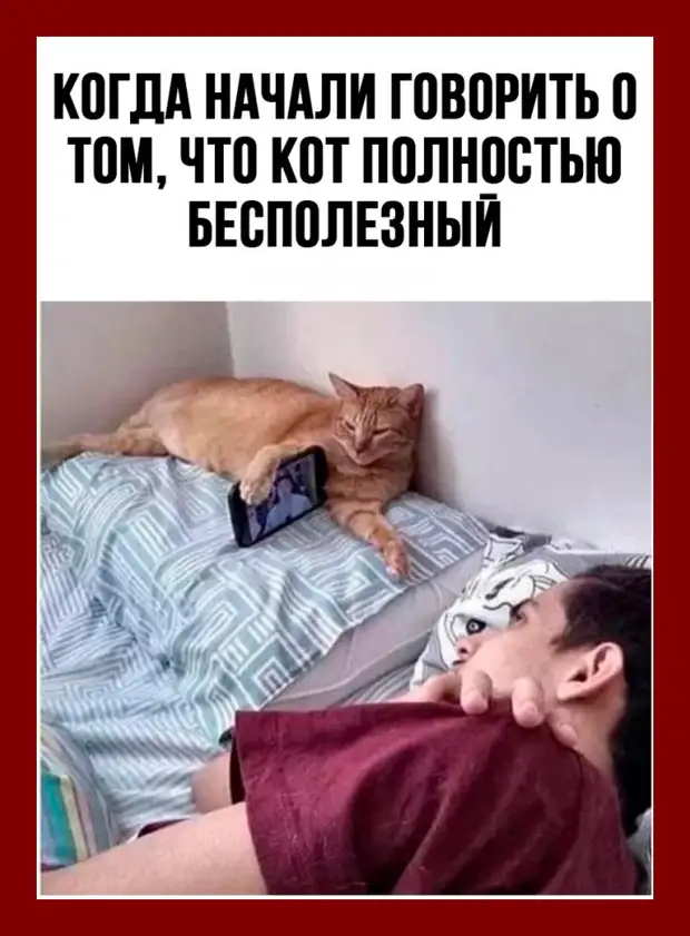 - Моня, какой все-таки грех, что у нашей Софочки ребенок...